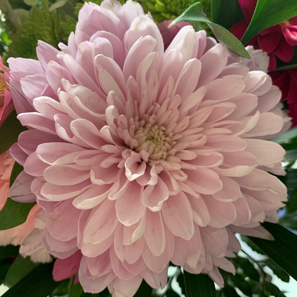 Meet your Posher - Picture 1 of 2